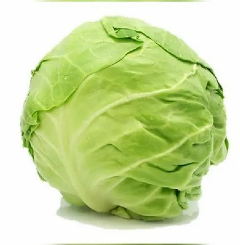 Fresh Farm Vegetable Cabbage, Gunny Bag, 20-25, Rs 8 /piece KRM Farm | ID: 22245094533