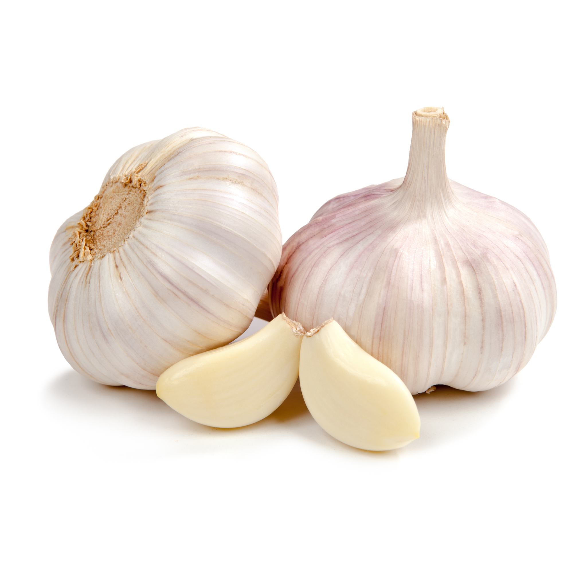 Asian Fresh Garlic (1 Bulb) - imported weekly from Asia – Thai Food Online (authentic Thai supermarket)