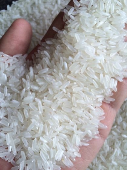 Bulk White Rice