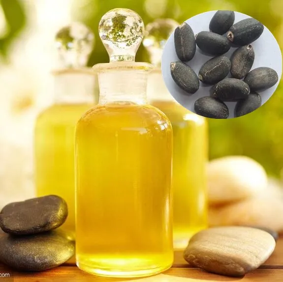 Jatropha Oil,Jatropha Oil Biodiesel Crude &amp; Refined - Buy Wholesale Cheap Bulk Refined Jatropha Oil For Sale,High Value New Refined Jatropha Oil For Human Best Use,Bulk Factory Direct Supply Best Refined Jatropha