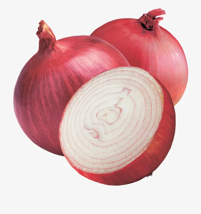 Premium Quality Fresh Red Onion In Mesh Bags Red Onions With Wholesale Prices And Bulk Quantities - Buy Onion Specification Fresh,Red Onion,Onion Bags Product on Alibaba.com