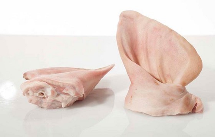 Frozen Pork Meat Suppliers