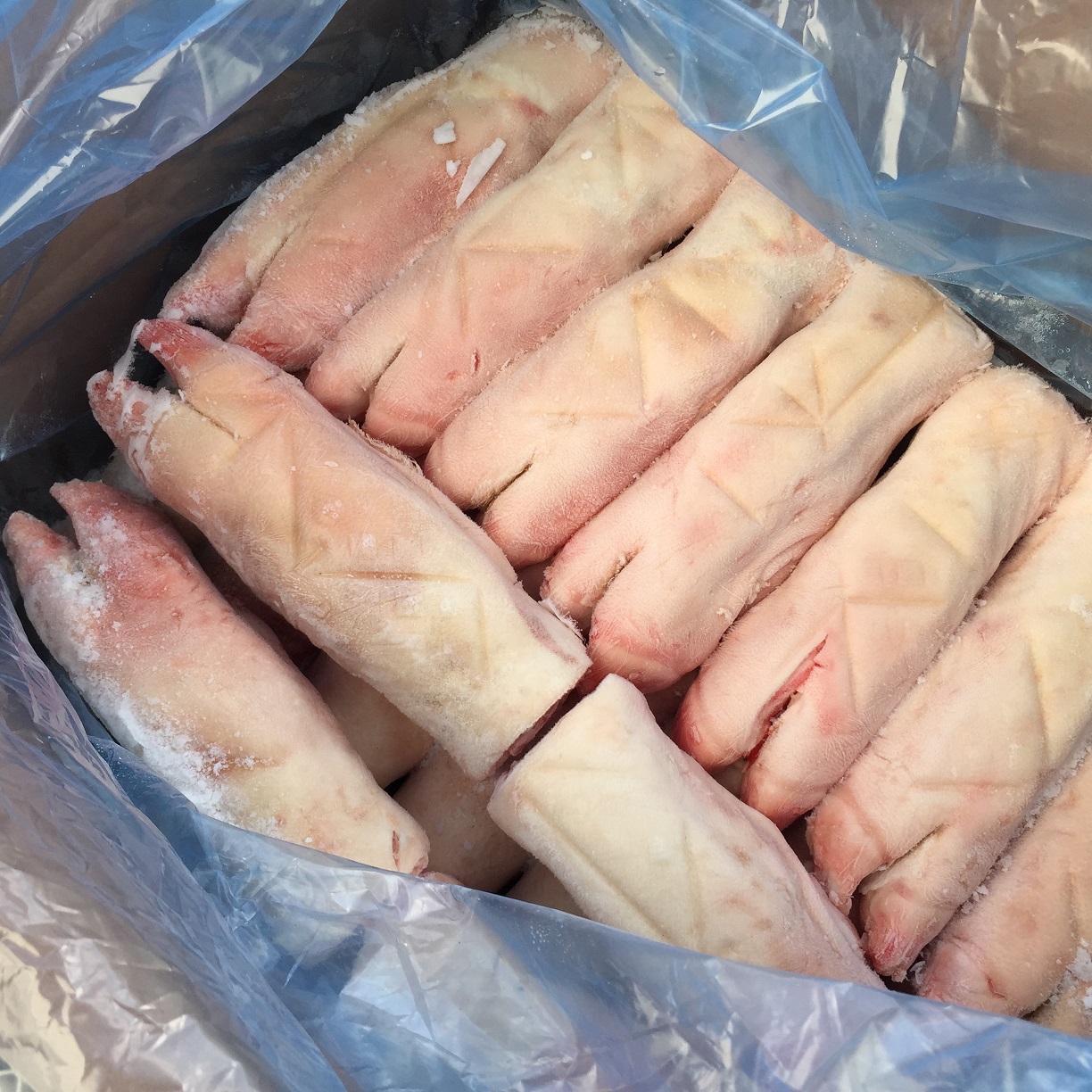 Frozen Pork Meat Suppliers