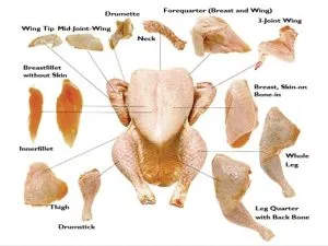 Frozen Chicken Parts