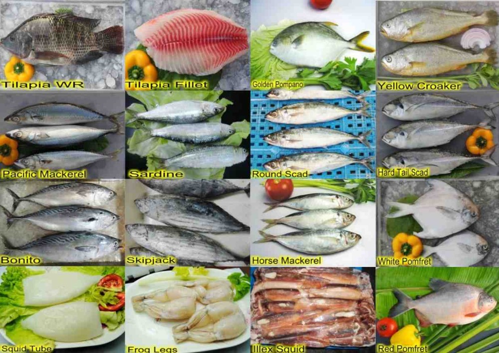 Fresh Frozen Fish