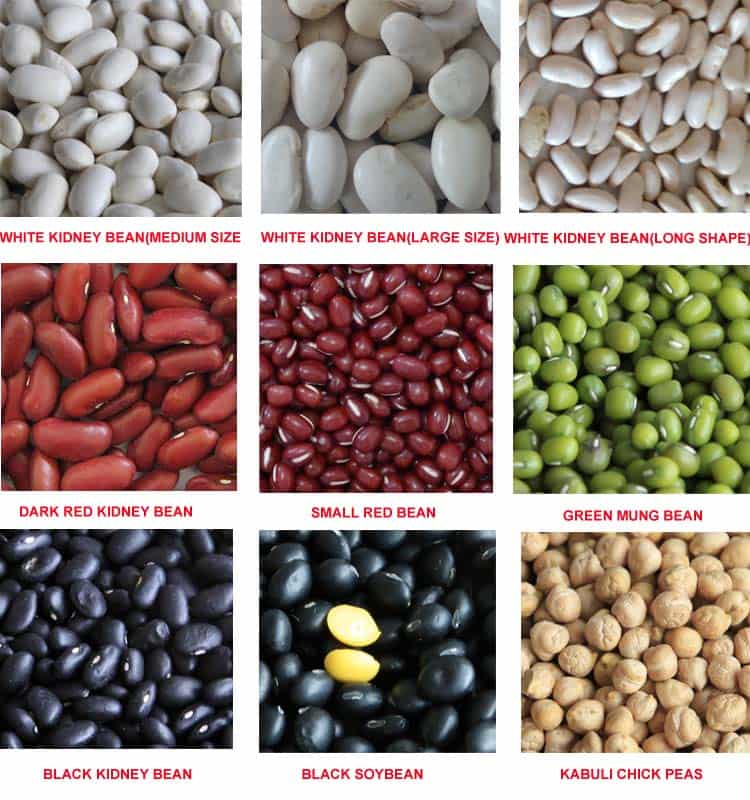Kidney Beans Wholesale