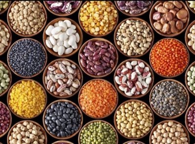Oil Seed Wholesale