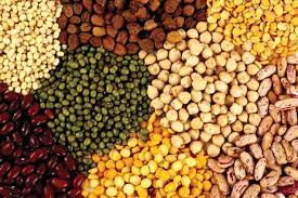 Oil Seed Wholesale