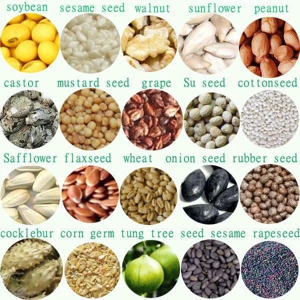 Oil Seed Wholesale