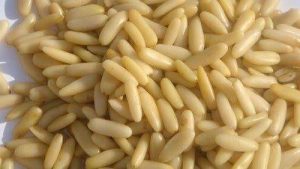 PINE NUTS