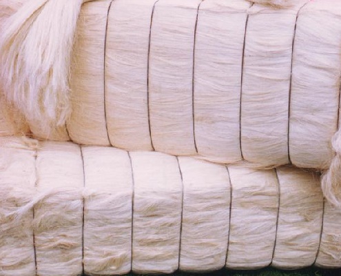 Sisal Fiber Wholesale