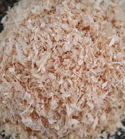 Premium Pine Wood Shavings - Image 4