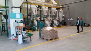 Pellets de madera Wood Pellets EN Plus DIN Plus