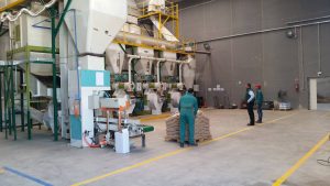 Pellets de madera Wood Pellets EN Plus DIN Plus