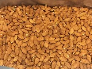 Raw Almond Nuts Wholesale