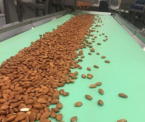 Raw Almond Nuts Wholesale