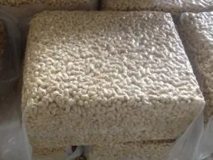 Raw Cashew Nuts Wholesale Competitive Prices