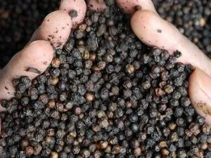 Whole Black Pepper Wholesale