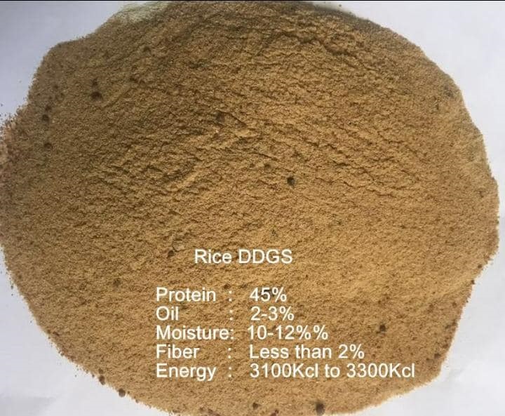 Rice DDGS Feed