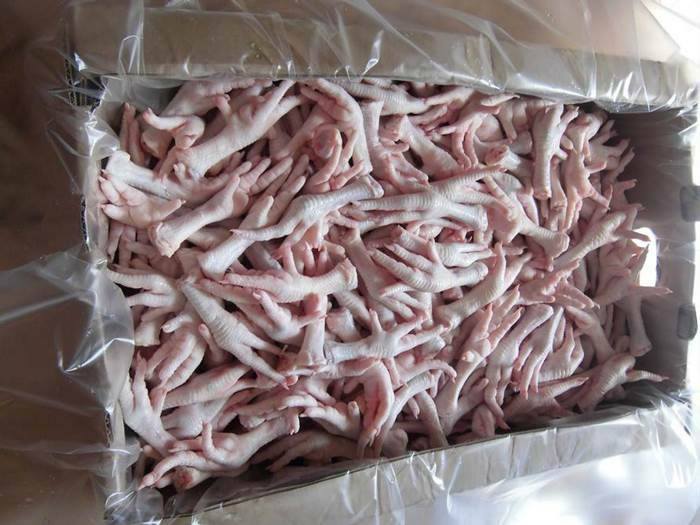 Buy Brazil Frozen Chicken Feet