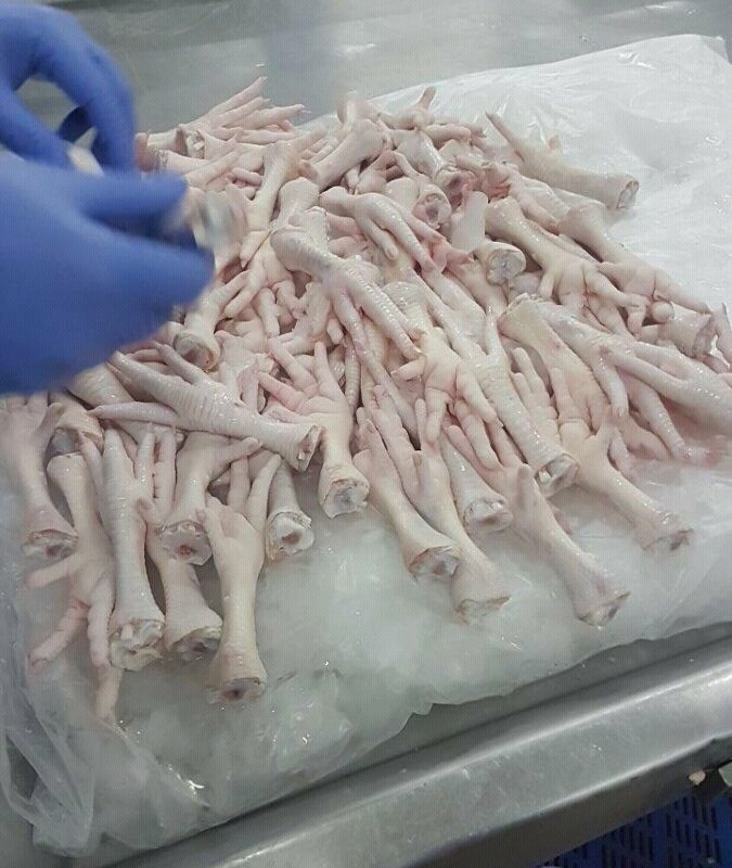 Buy Brazil Frozen Chicken Feet