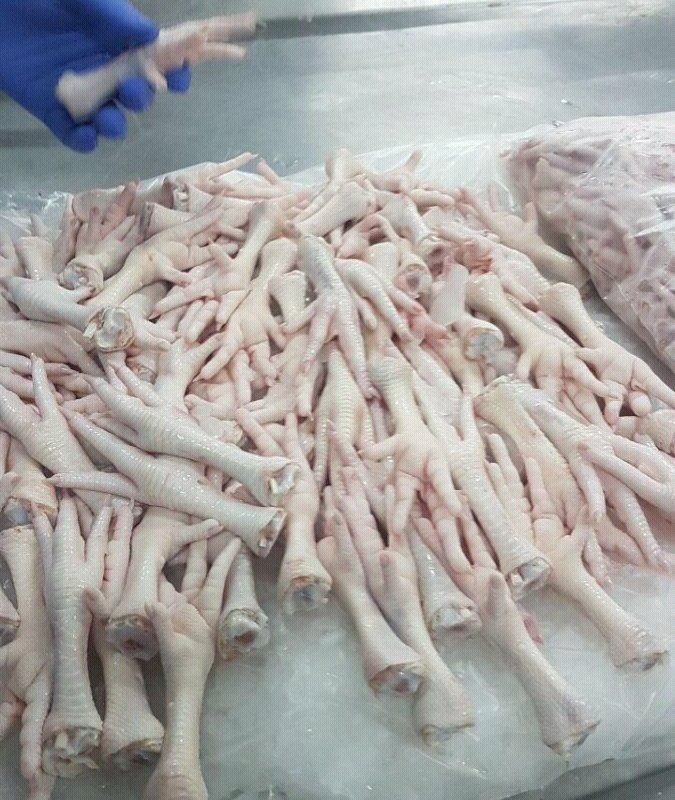 Buy Brazil Frozen Chicken Feet