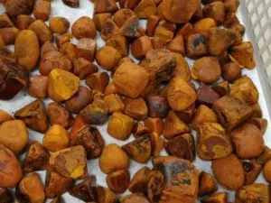 Buy Ox Gallstones