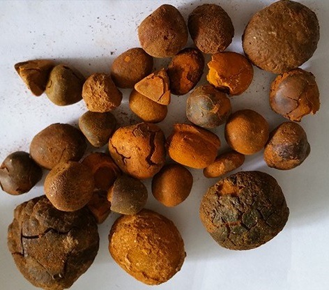 Ox Cow Gallstones - Image 5