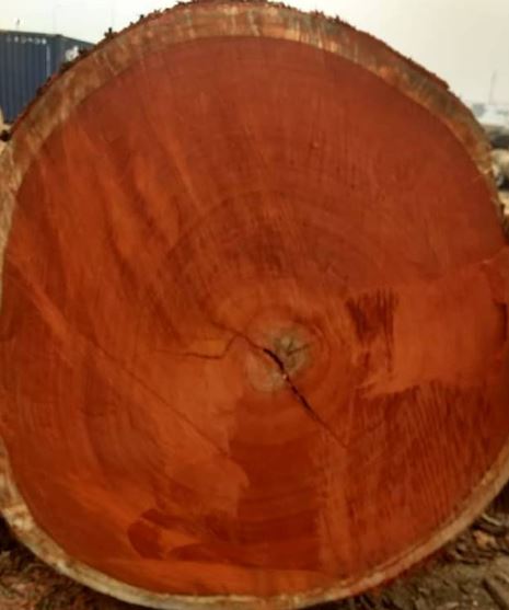 Africa Tali Wood Logs