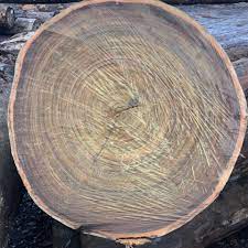 Africa Tali Wood Logs