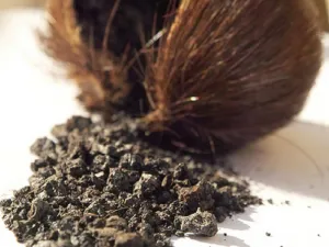 Pure DEER MUSK Powder 87%