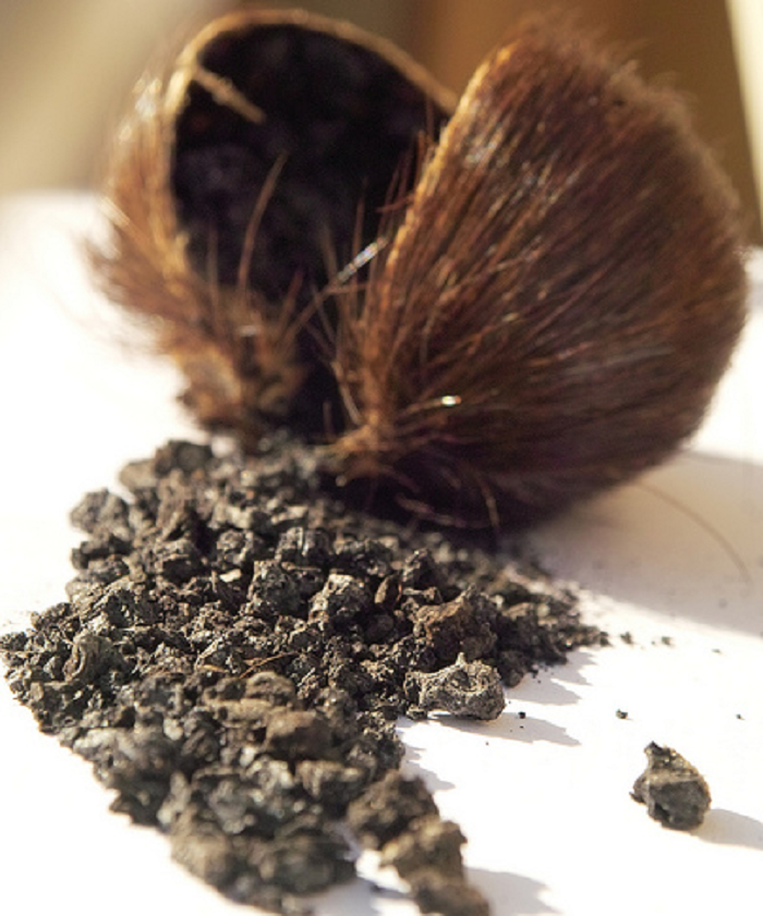 Pure DEER MUSK Powder 87%