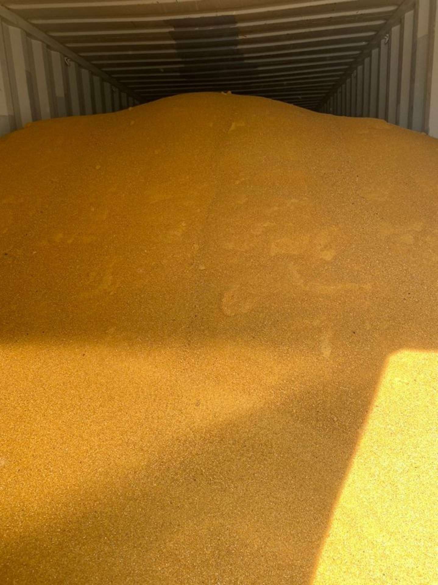 Bulk Corn DDGS Wholesale