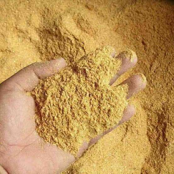 Bulk Corn DDGS Wholesale