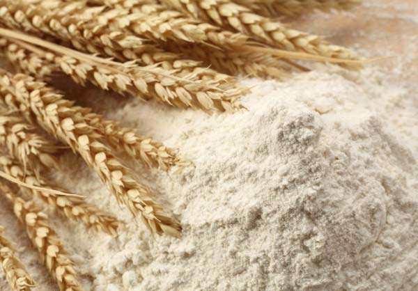 Whole Wheat Flour Wholesale