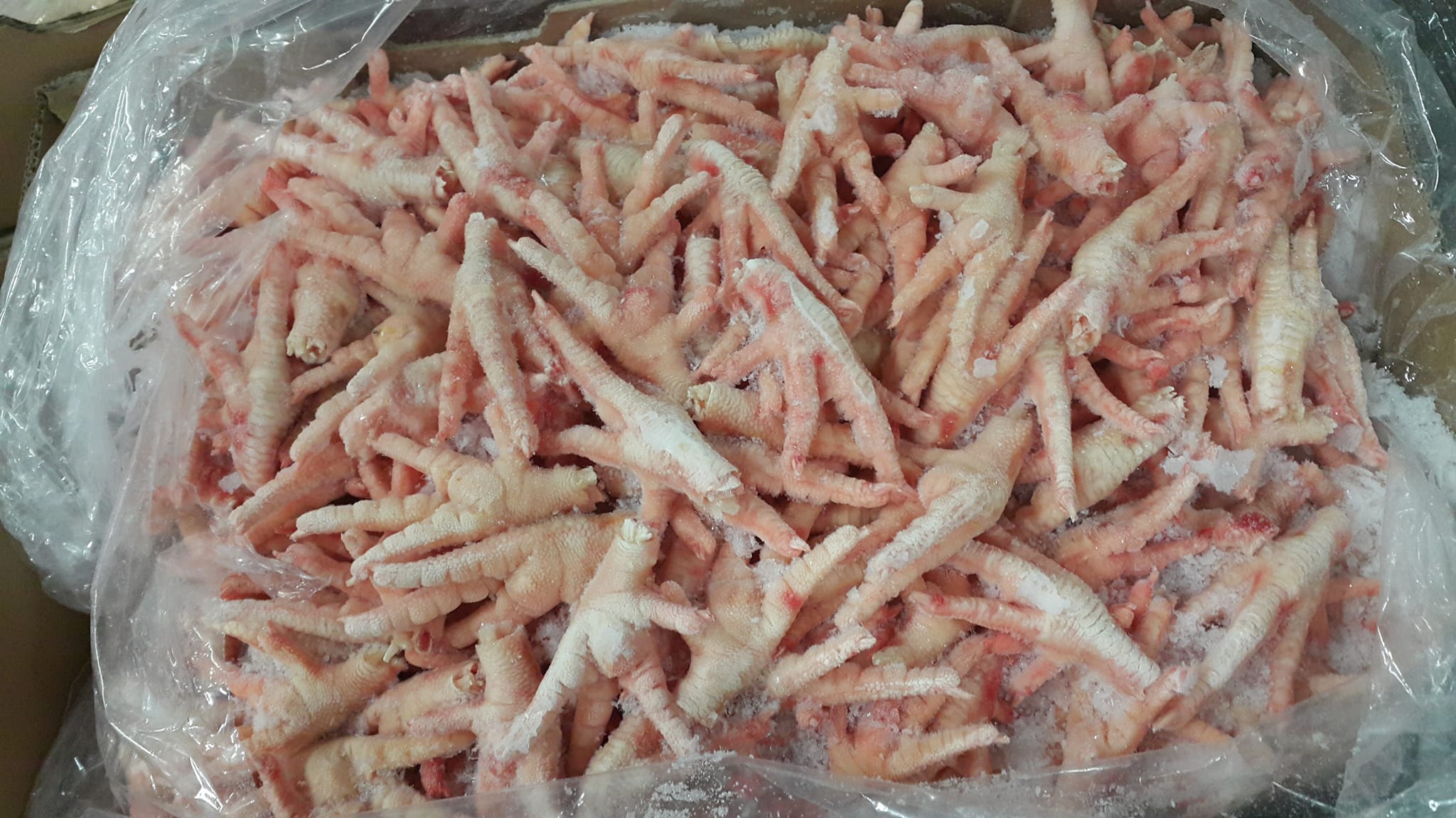 Halal Frozen Chicken Paws
