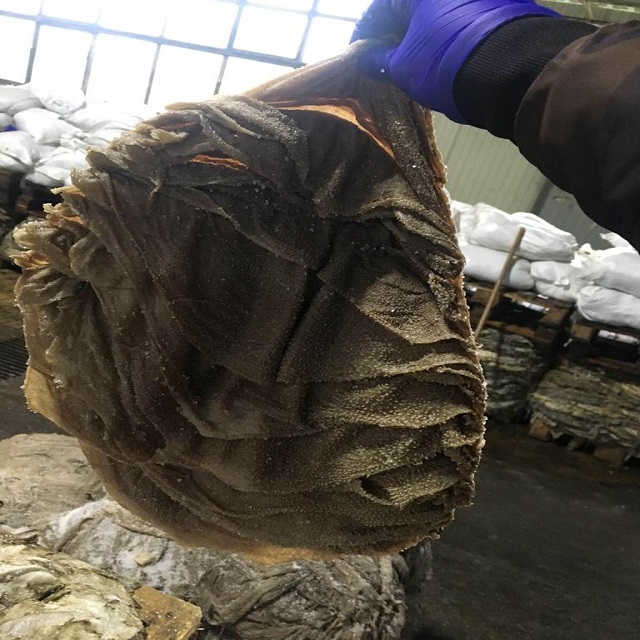 Salted Dried Beef Omasum