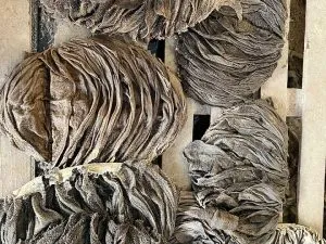 Salted Dried Beef Omasum