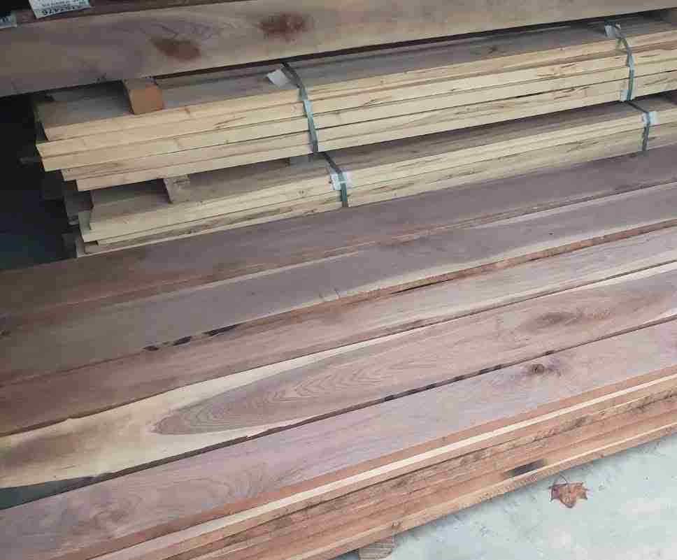 Black Walnut Logs and Lumber (Juglans Nigra) - Image 6