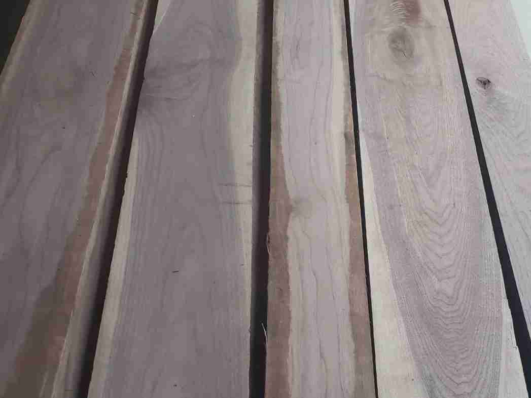 Black Walnut Logs and Lumber (Juglans Nigra) - Image 5