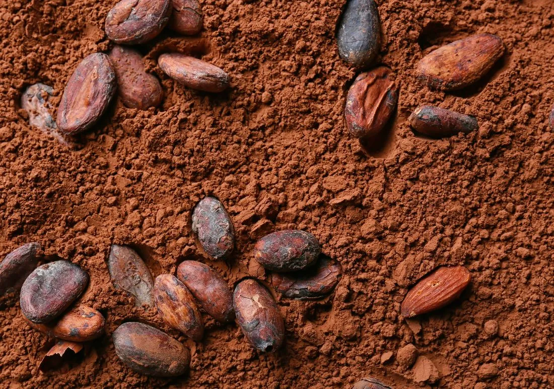 Natural Cocoa Powder Wholesale
