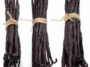 Organic Vanilla Beans Whole