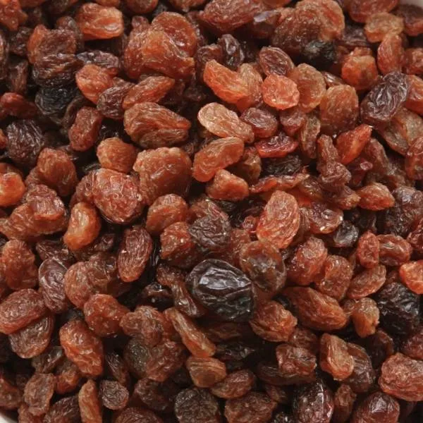 Turkish Sultana Raisins Wholesale - Image 3