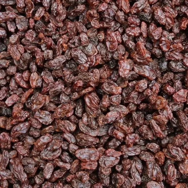 Turkish Sultana Raisins Wholesale