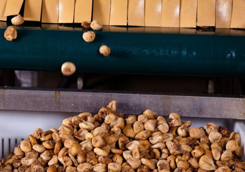 Wholesale Dried Figs Natural