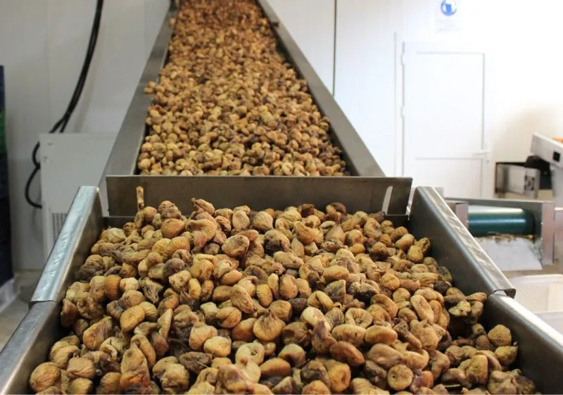 Wholesale Dried Figs Natural